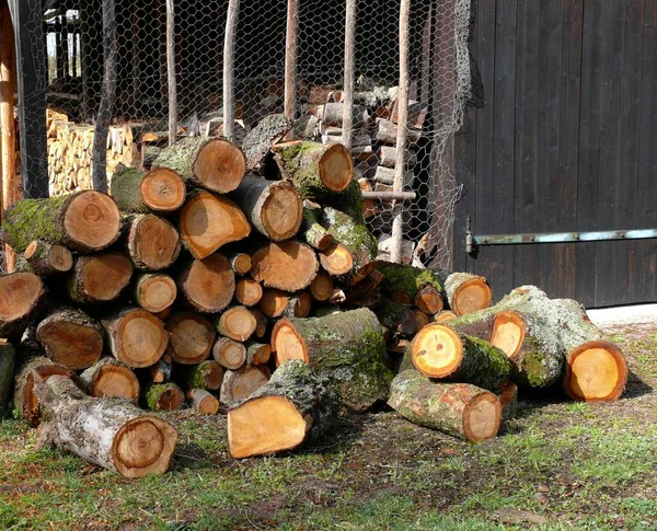 Brennholzlager Holzlager — Stockfoto