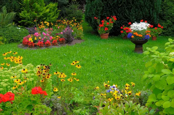 Baden Wuerttemberg Zwarte Woud Cottage Garden Vaste Plant Tuin — Stockfoto