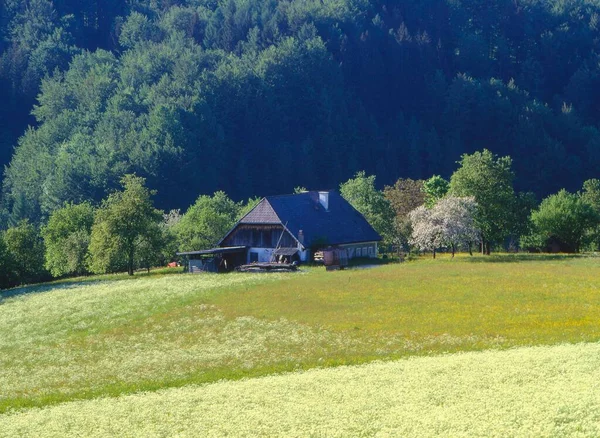 Farma Salzkammergut Austria Europa — Zdjęcie stockowe