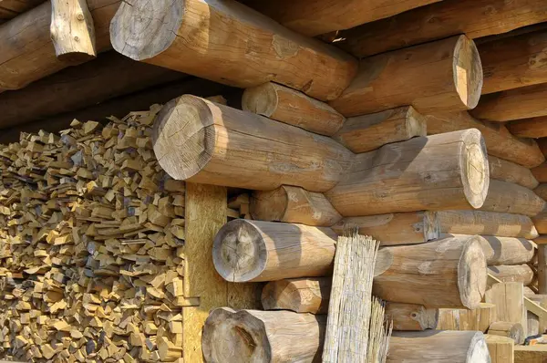 Drewno Opałowe Drewno Opałowe Lesie — Zdjęcie stockowe