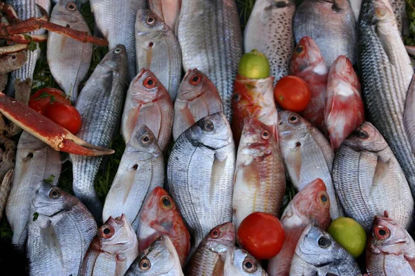 Display Fish Restaurant Essaouira Morocco Africa — Stock Photo, Image