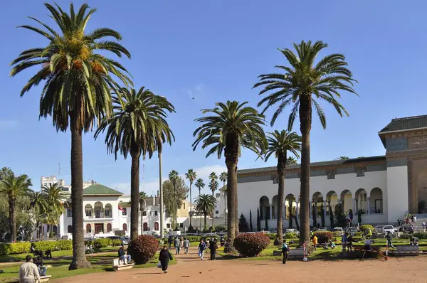 Casablanca city centre, park with palm trees in the city centre
