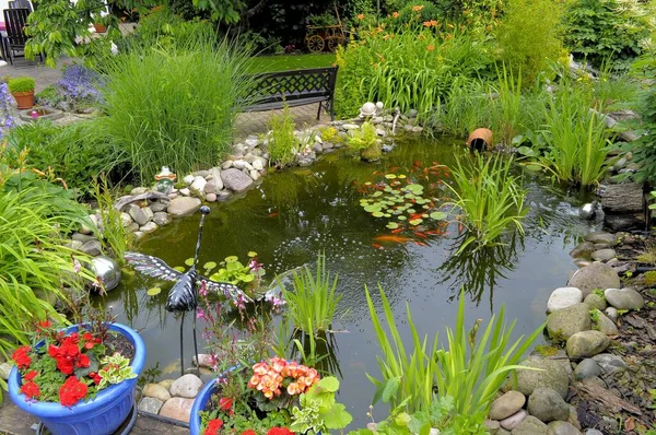 Ornamental Garden Garden Pond Goldfish — Stock Photo, Image