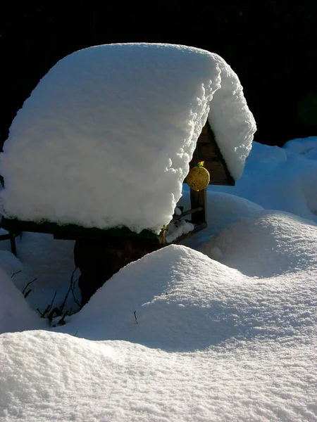 Snowy Bird House Closeup View — Stock Photo, Image