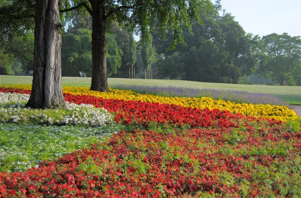 Colorful Summer Flowers Park — Stock Photo, Image