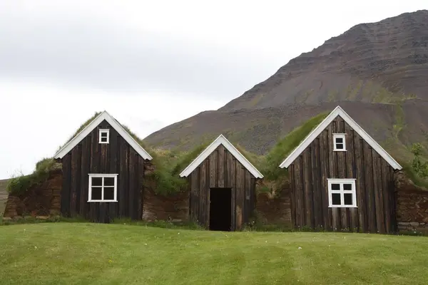 Estacas Relva Holar Islândia — Fotografia de Stock