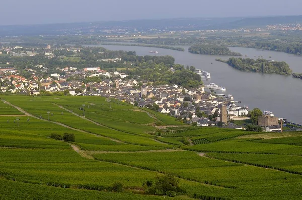Rdesheim Rhein Niederwalddenkmal Unesco Welterbe Oberes Mittelrheintal Die Wache Rhein — Stockfoto