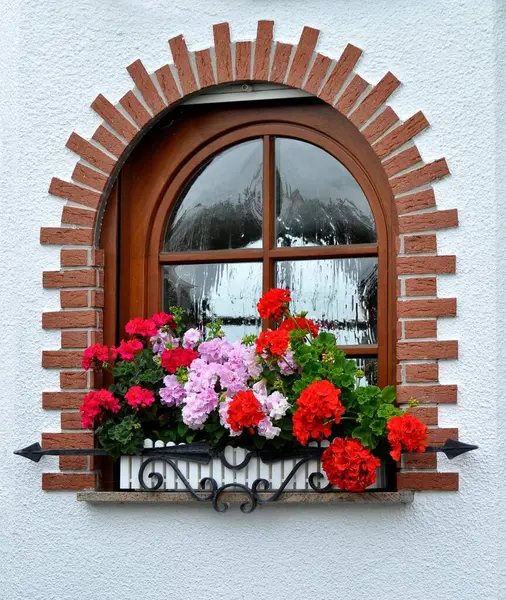 Garden with house, arched window with flowers, geraniums at the window outside, white roses in the garden