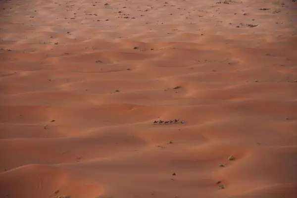 Small Caravan Tourists Sand Dunes Erg Chebbi Sahara Morocco — Stock Photo, Image