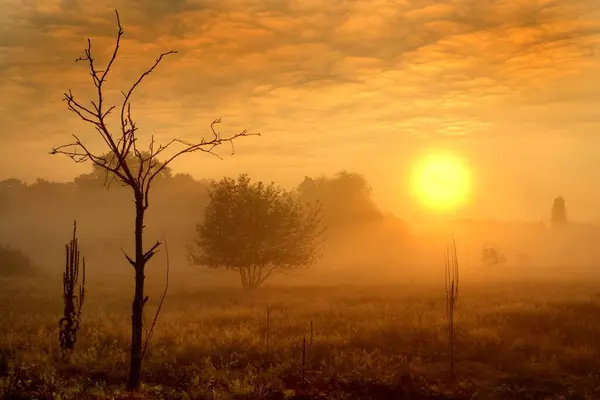 Восход Солнца Осенью 2007 Года Природном Заповеднике Хайнберг Недалеко Средней — стоковое фото