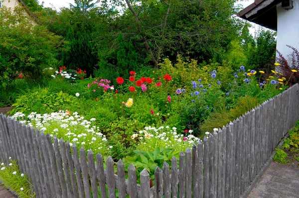 Baden Wrttemberg Μαύρο Δάσος Cottage Κήπο Πολυετή Κήπο Διάφορα Λουλούδια — Φωτογραφία Αρχείου