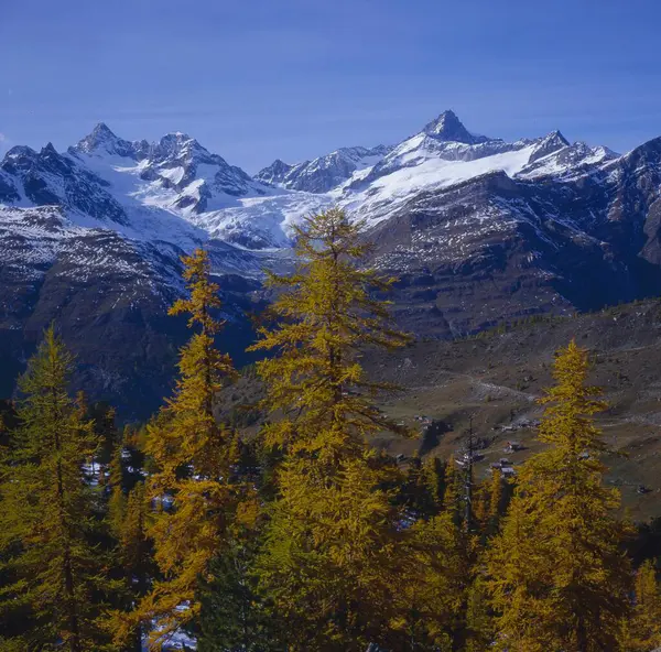 Utsikt Från Riffelalp Ovanför Zermatt Till Obergabelhorn Och Zinalrothorn Valais — Stockfoto