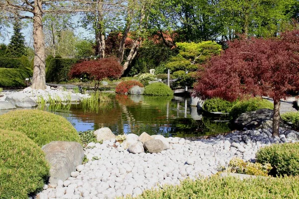 Chemin Gravier Jardin Japonais Dehner Park Pluie — Photo