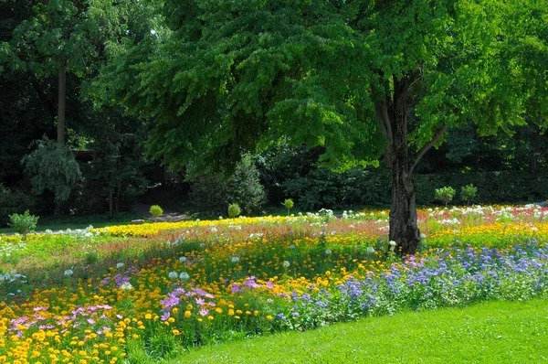 stock image Stuttgart : Killesberg, flowerbeds in summer