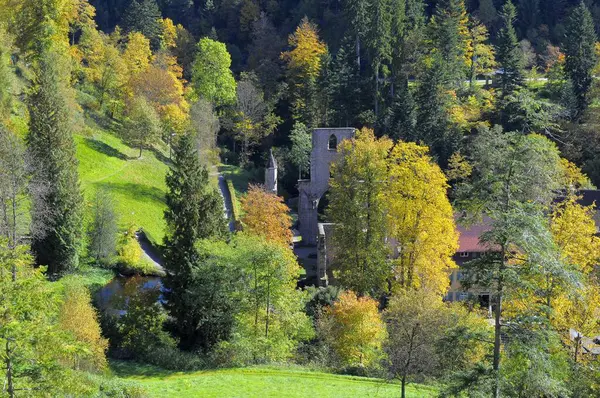 Schwarzwald Bei Allerheiligen Herbst Bunter Herbstwald — Stockfoto
