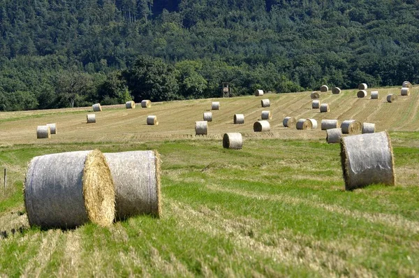 Strohballen Einem Getreidefeld Bei Knittlingen — Stockfoto