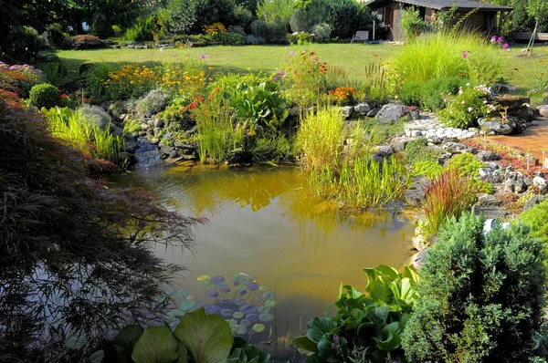 Garden Pond Beginning Autumn — Stock Photo, Image