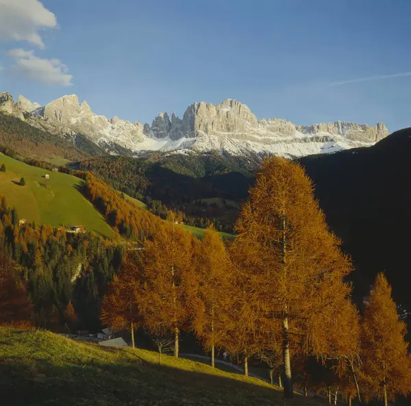 Hösten Utsikt Från Thiers Valley Till Catinaccio Italien Dolomiterna — Stockfoto