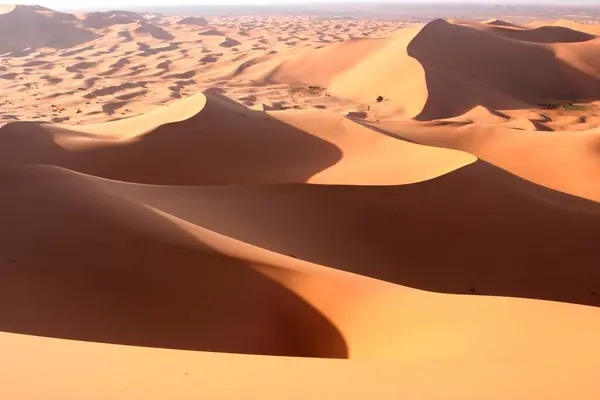 Mäktiga Sanddyner Markerar Sandfältet Erg Chebbi Marocko Afrika — Stockfoto
