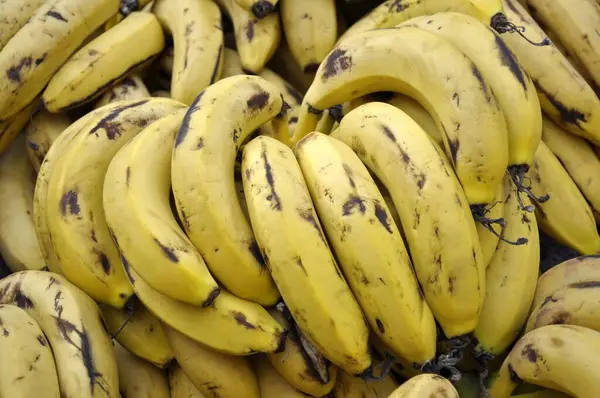 Ripe Bananas Close — Stock Photo, Image