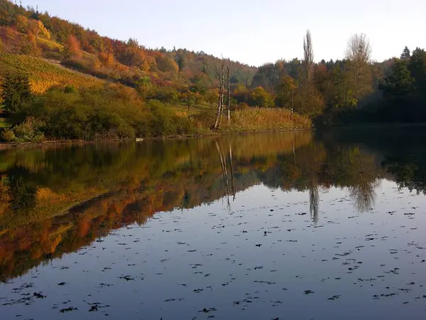 Lac Bernhardswhr Près Oberderdingen Bade Wrttemberg Allemagne Vignobles Avec Réflexion — Photo