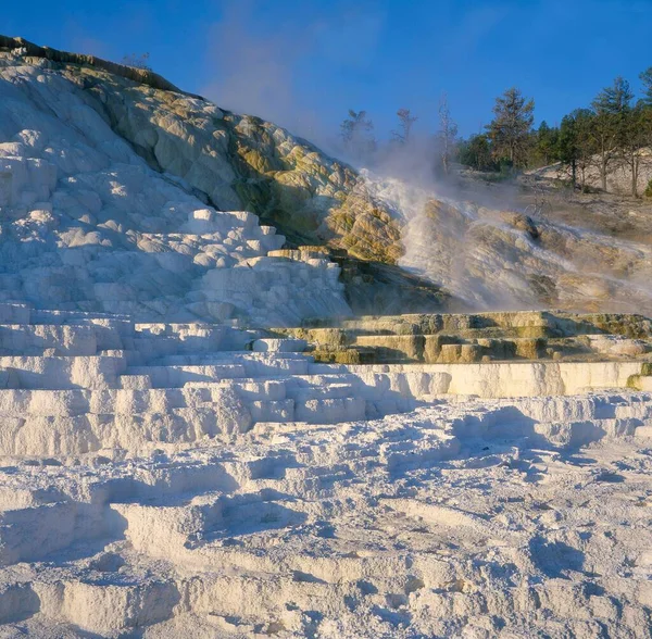 Stany Zjednoczone Yellowstone Mammoth Hot Springs Gebiet Der Unteren Terrassen — Zdjęcie stockowe