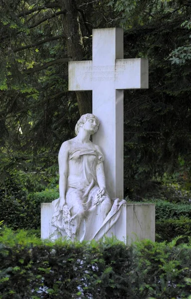 Pforzheim Friedhof Grab Hintergrund Ansicht — Stockfoto