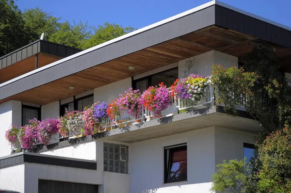Flat Roof House Flowers Balcony — Stock Photo, Image