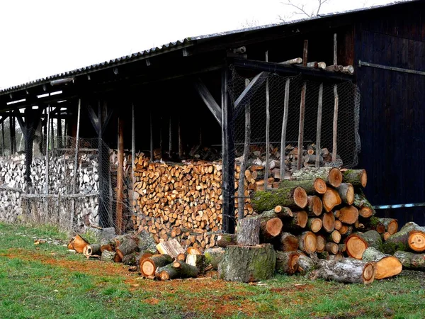 Firewood Store Wood Store — Stock Photo, Image