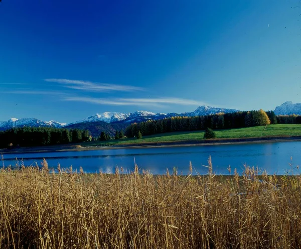 Φθινόπωρο Στη Λίμνη Forggensee Allgu Άλπεις Κοντά Στο Fssen Βαυαρία — Φωτογραφία Αρχείου