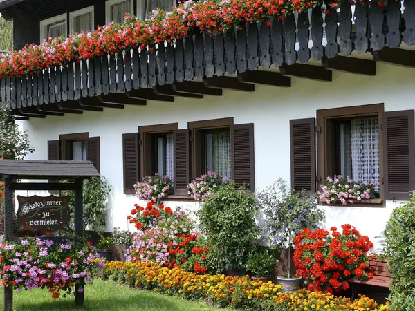North Black Forest Στο Zwickgabel Καλοκαιρινά Λουλούδια Στο Σπίτι Γεράνια — Φωτογραφία Αρχείου