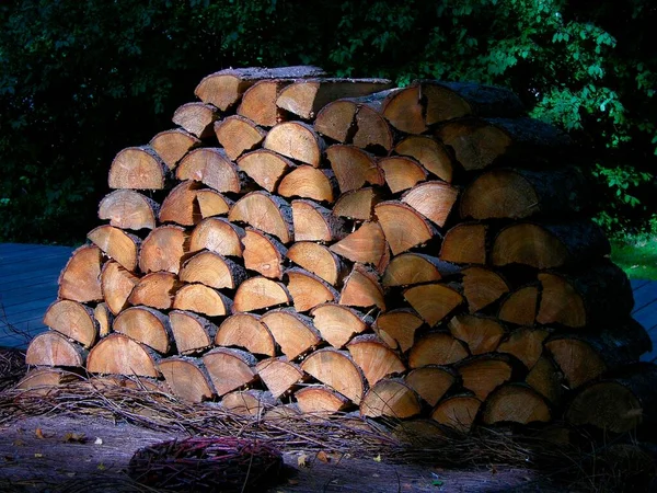Opgestapeld Brandhout Brandhout Het Bos — Stockfoto