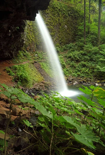 Beautiful View Waterfall Nature Background — Stock Photo, Image