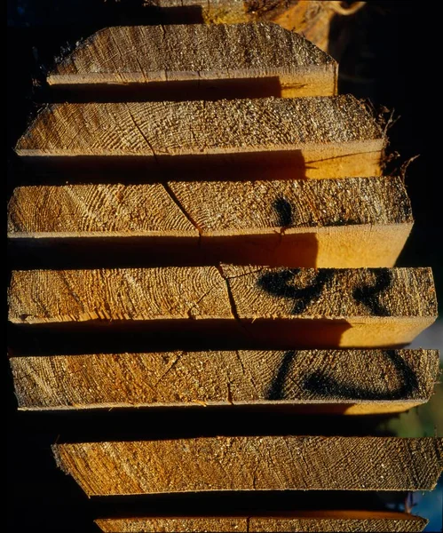 Stack Boards Cut Tree Trunk Cross Section — Stock Photo, Image