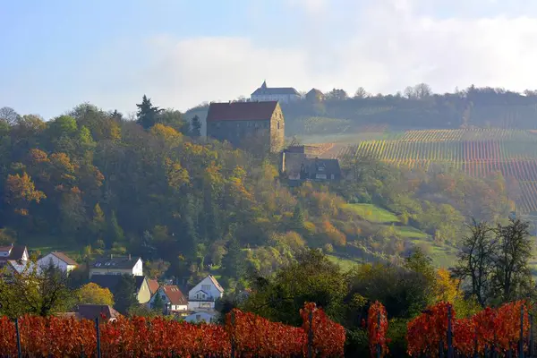 Baden Wrttemberg Cleebronn Michaelsberg Cleebronn Kalesi Sonbaharda Şarap Manzarası — Stok fotoğraf