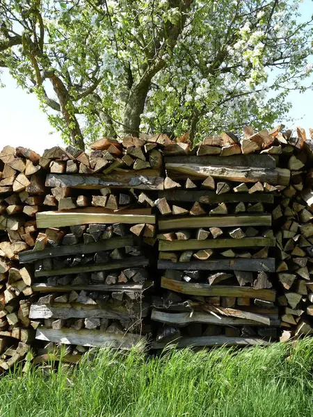 Obchod Palivem Obchod Dřevem — Stock fotografie