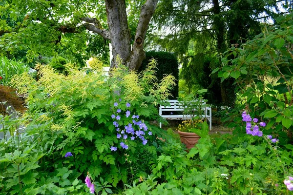 ホワイトガーデンベンチ ブルームの永遠の庭 庭のリンゴの木 — ストック写真
