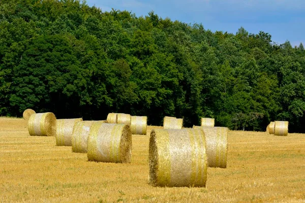 Maulbronn Getreidefeld Mit Strohballen Abgeerntet — Stockfoto