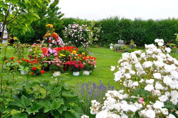 Pirámide Flores Jardín Maceta Con Flores Césped Rosas Blancas Jardín —  Fotos de Stock