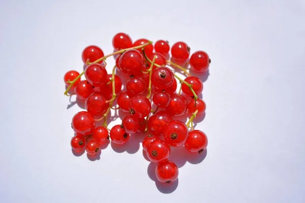 Red Currants Close View — Stock Photo, Image