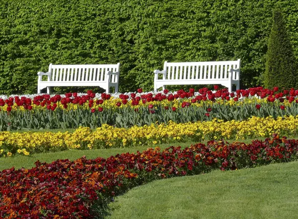 Blhendes Barock Ludwigsburg Spring Flowerbeds Tulip Blossom White Wooden Bench — Stock Photo, Image