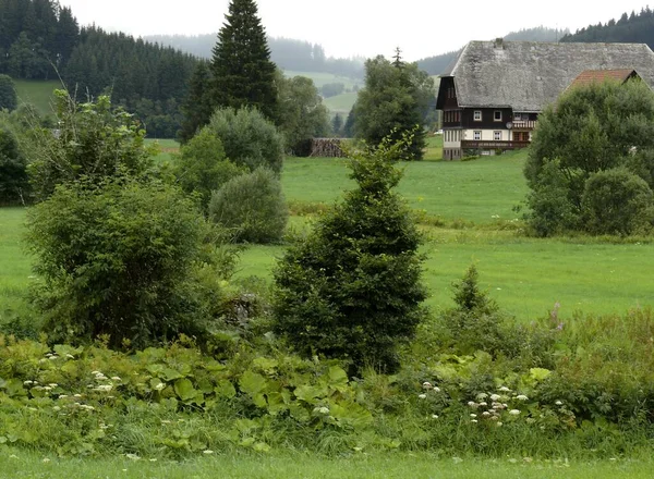 Dom Rustykalny Jostal Koło Titisee Czarny Las Badenia Wirtembergia Niemcy — Zdjęcie stockowe
