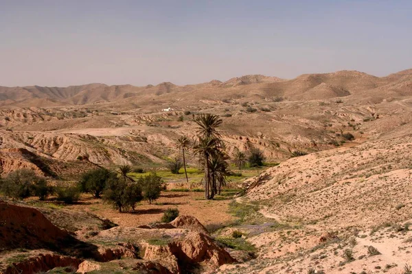 stock image By building small dams, some water and vegetation is wrested from the desert. Mountain landscape near Matmata, Tunisia, Africa