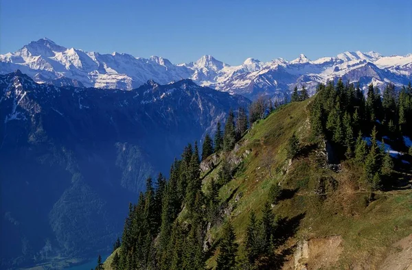 Bernese Alpes Suiza Vista Panorámica —  Fotos de Stock