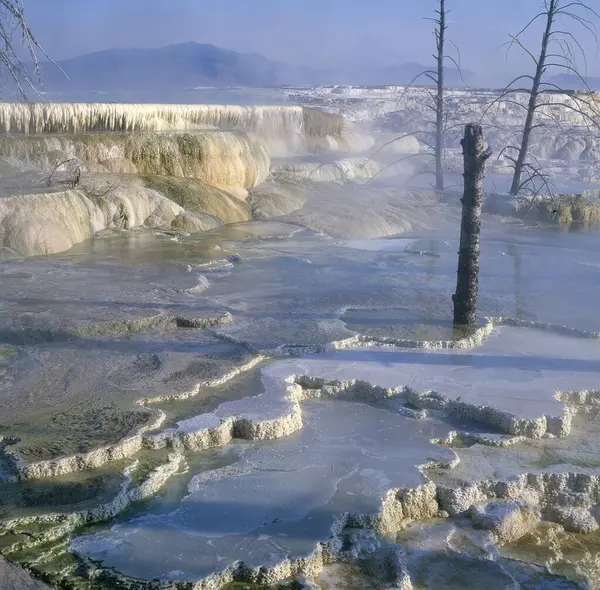 Usa Yellowstone Mammoth Hot Springs Gebiet Der Oberen Terrassen North — Stock Photo, Image