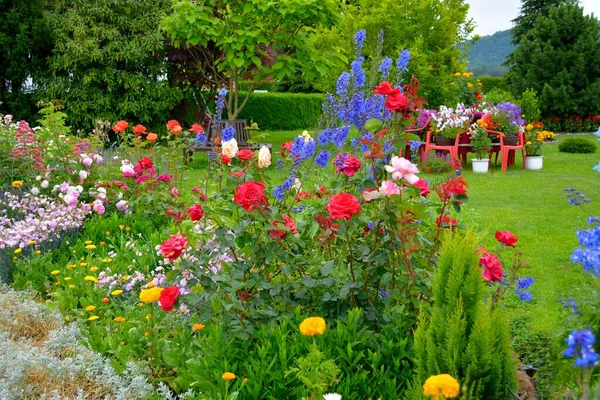 Kwiat Ogród Różnymi Kwiatami Rozkwicie — Zdjęcie stockowe
