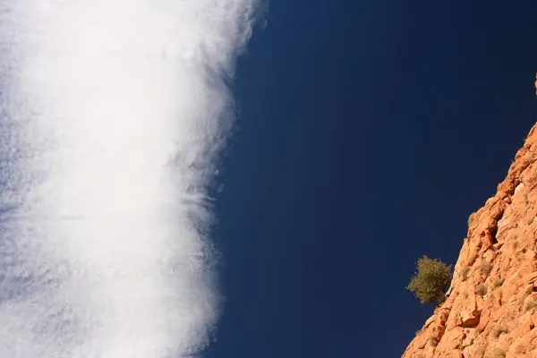 Ein Baum Ragt Aus Dem Felsen Den Himmel Einem Seitental — Stockfoto