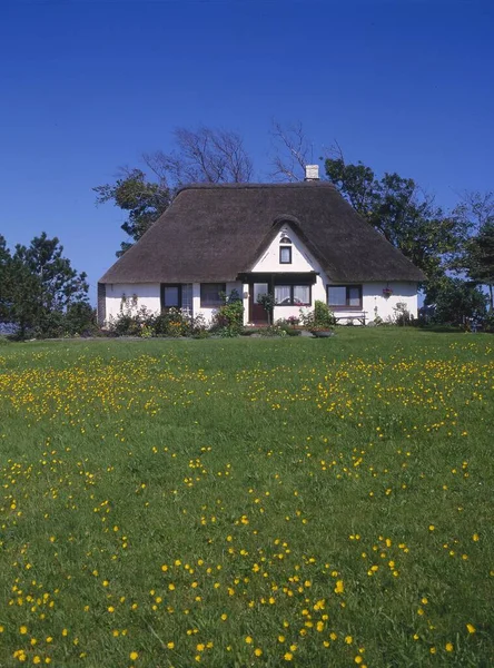 Grasveld Huis Bomen Weide — Stockfoto