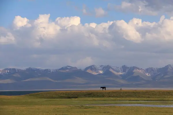 Spectacular evening mood with horse at the mountain lake Songkol ,Kyrgyzstan