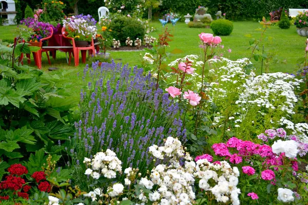 Kwiat Ogród Różnymi Kwiatami — Zdjęcie stockowe